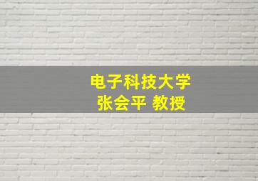 电子科技大学 张会平 教授